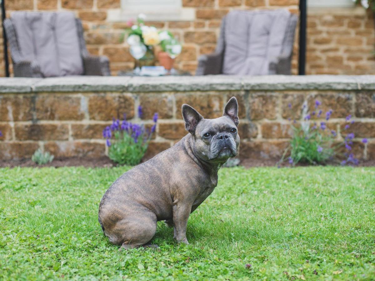 Climbing Rose Cottage - Dog Friendly - Peaceful Cotswold Cottage Adlestrop Exteriér fotografie